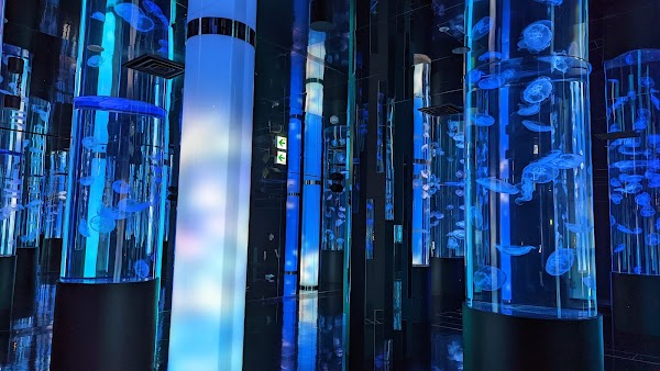 DMM Kariyushi Aquarium okinawa 2