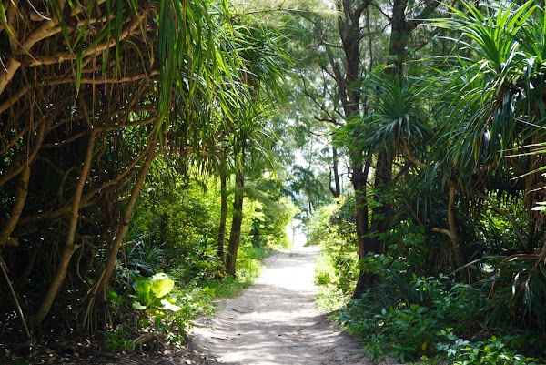 Inō Beach. 3
