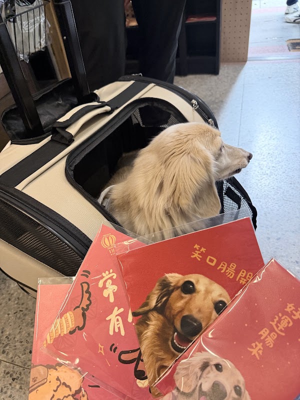 元氣毛孩(原元氣毛孩子)-伴侶動物選品＆教學丨寵物按摩.寵物學苑.寵物商品.臘腸狗.大稻埕 3