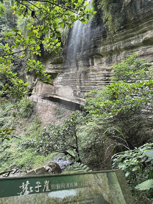 Swallow Cliff