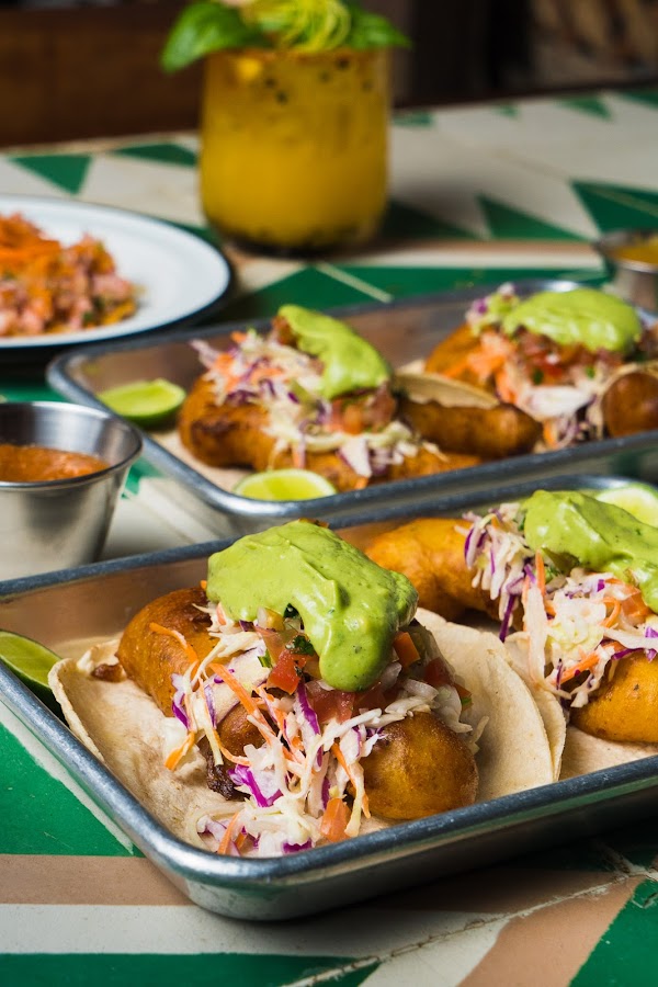 Barracuda Cantina 5