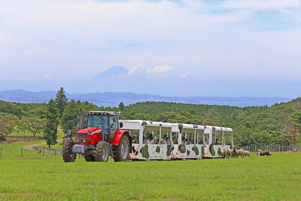 Mother Farm 1