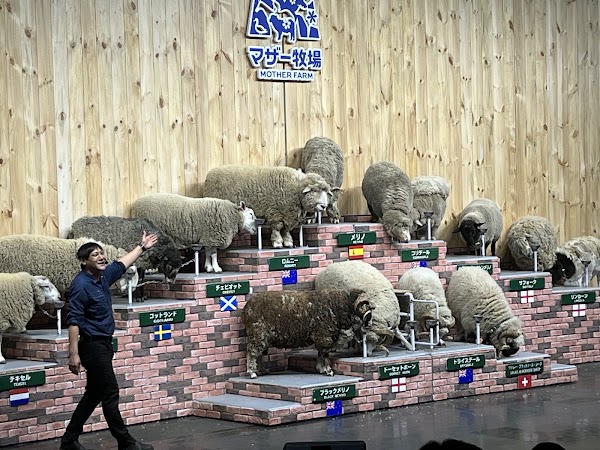 Mother Farm 4