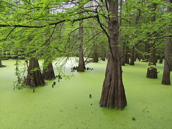 Qingshanhu Scenic Area 5