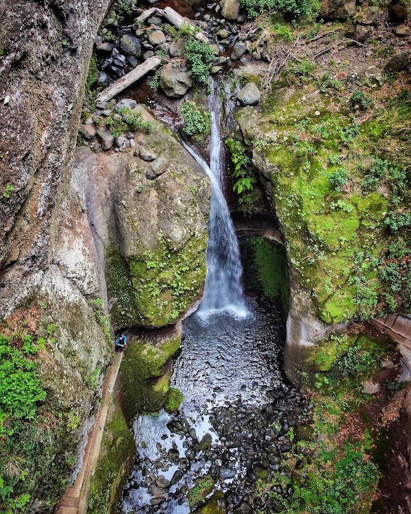 Levada Nova 4