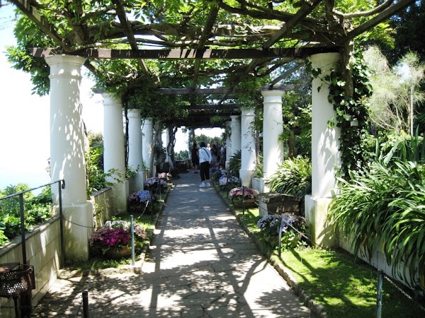 Villa San Michele 4
