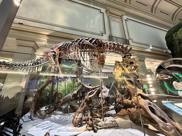 Smithsonian National Museum of Natural History 4
