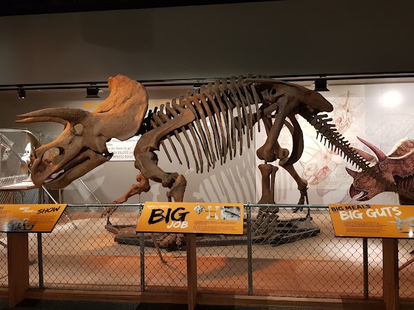 Smithsonian National Museum of Natural History 3