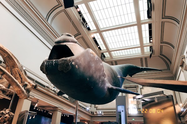 Smithsonian National Museum of Natural History 2