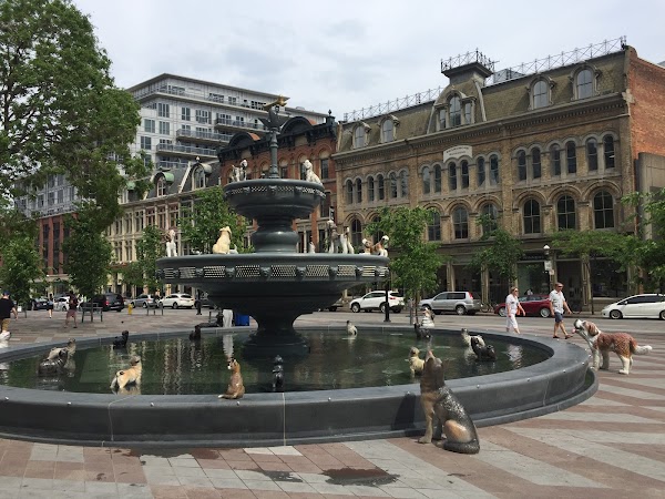 Berczy Park 5