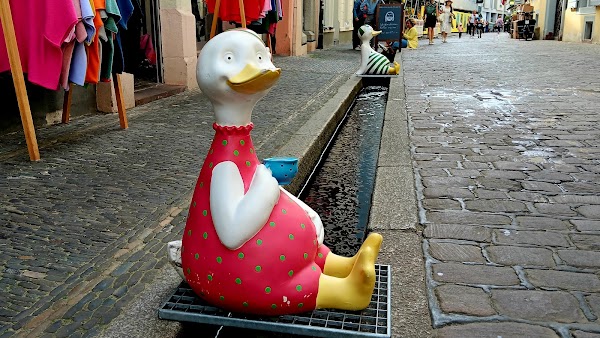Bächle in Freiburg