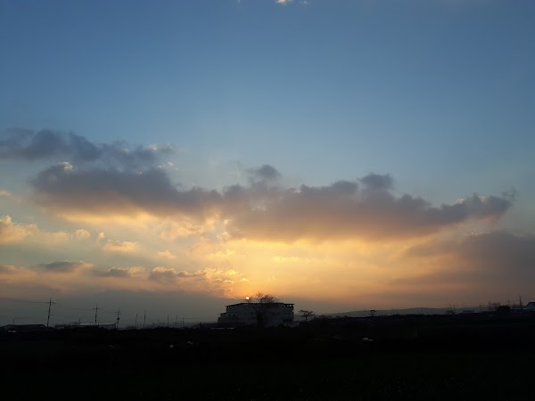 Jeju Island Tour 3