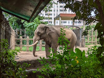 Saigon Zoo and Botanical Garden 1