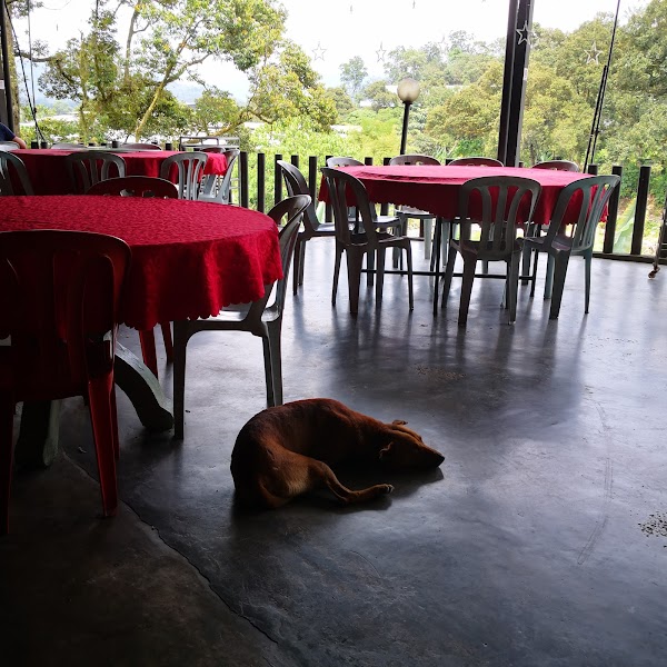 Langat Forest Seafood and Beer Garden 呀吃盛林啤酒园 （山水鱼） 1