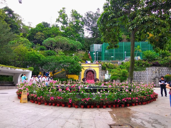 Flora Garden 5