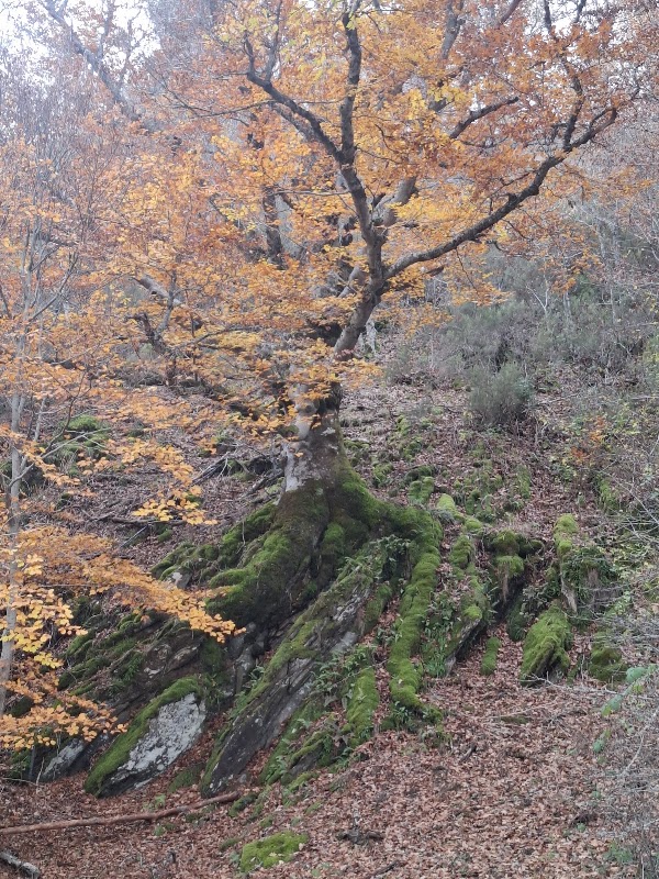 Centro de Información de la Reserva de la Biosfera Sierra del Rincón