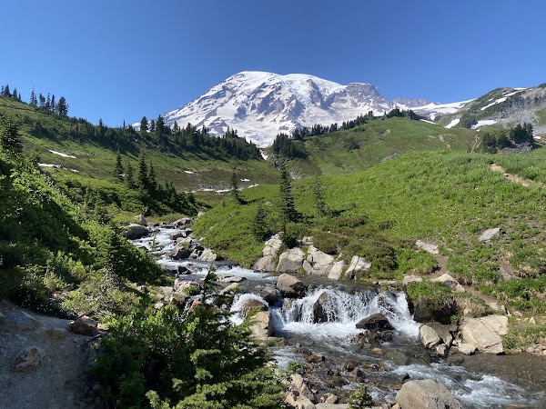 Myrtle Falls 5