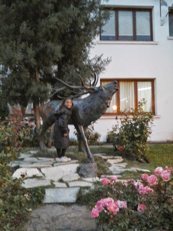 San Martín de los Andes 4