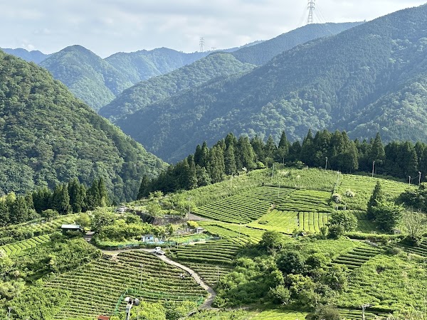 Machu Picchu in Gifu Tea Garden in the Sky