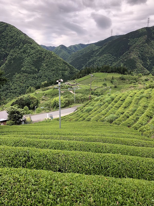 Machu Picchu in Gifu Tea Garden in the Sky 5