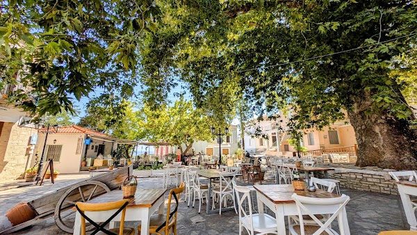 Sama authentic samos cuisine