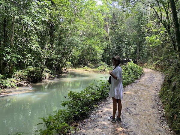 Salto El Limon Samana Tours - El Limon Waterfalls 4
