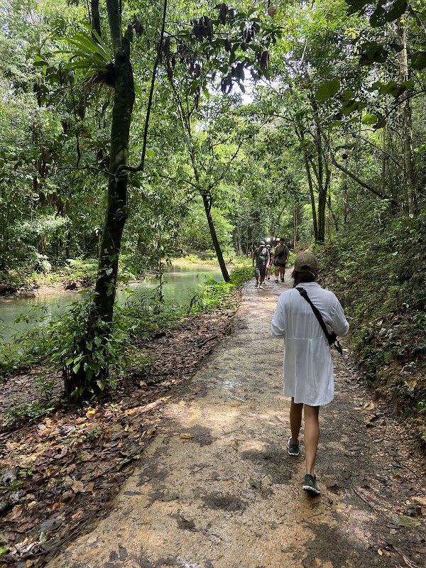 Salto El Limon Samana Tours - El Limon Waterfalls 2