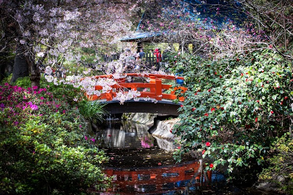 Descanso Gardens 5