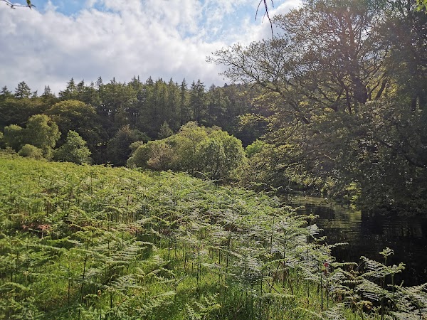Lough Tay 2