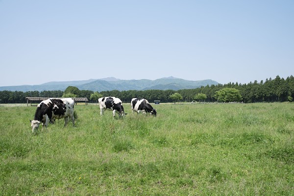 Senbonmatsu Farm