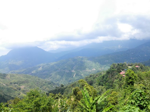 Pekan Nabalu 2
