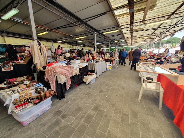 Borghetto Flaminio Market 2