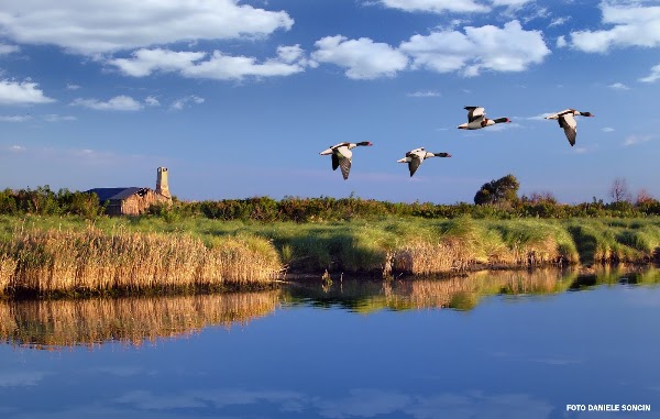 Parco Regionale Veneto del Delta del Po