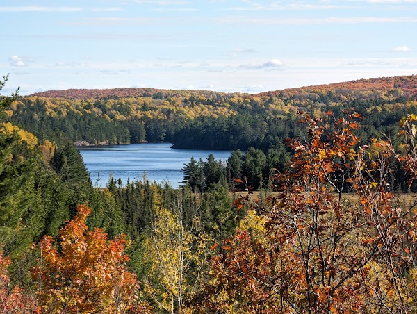 Lookout Trail