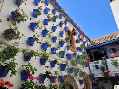 Patios Cordobeses 1