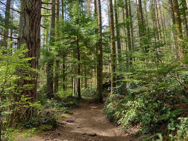 Rattlesnake Ridge Trail