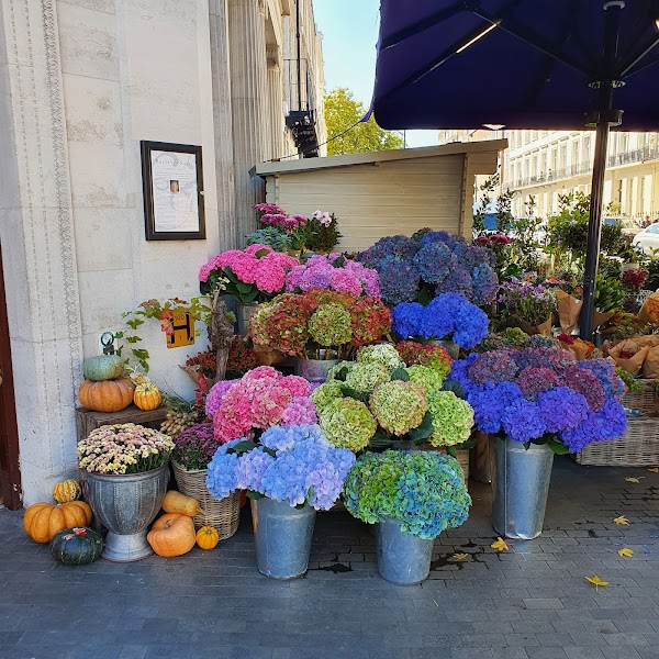 Belgravia 3