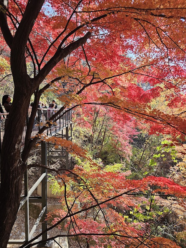 Seoul 5