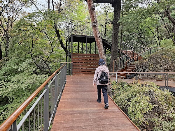 Namsan Sky Forest Trail 3