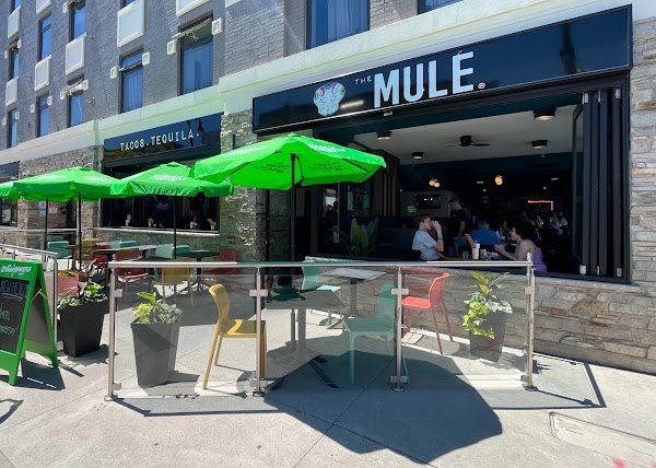 The Mule St. Catharines