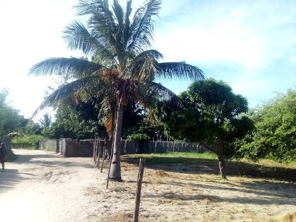 Mozambique 2