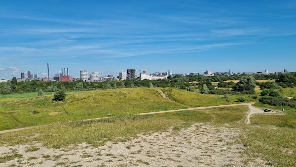Amager Fælled