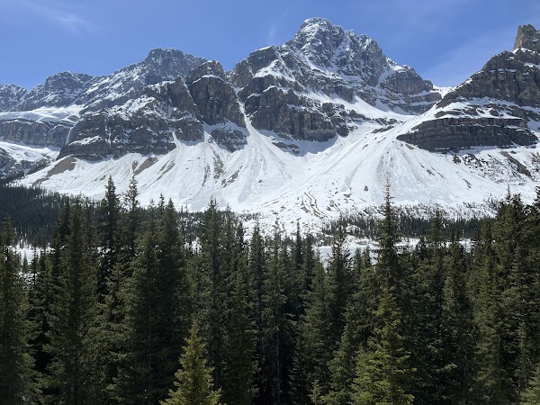 Crowfoot Glacier 5