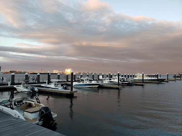 Fan Pier Park 3