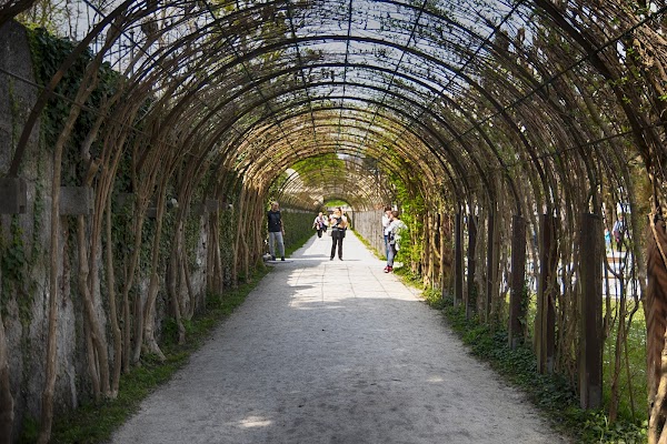 Mirabellgarden 2
