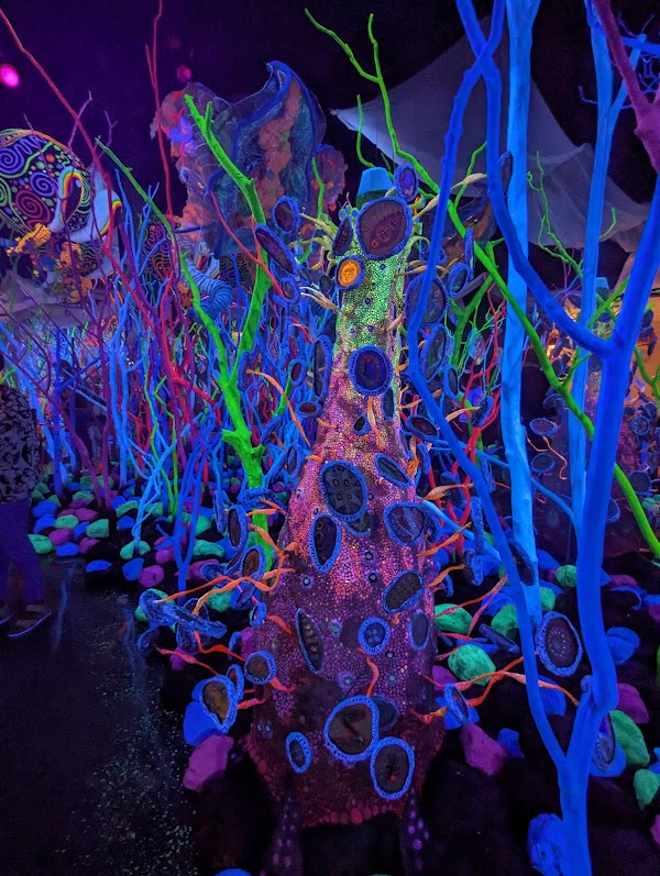 Meow Wolf Houston's Radio Tave 5