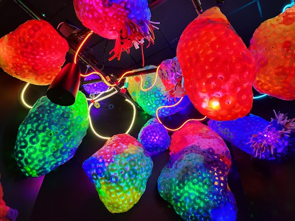 Meow Wolf Houston's Radio Tave 3