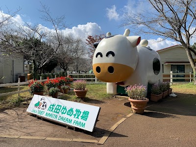 Japan Tokyo 4