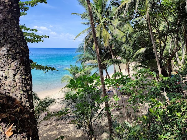 Banana Beach 4