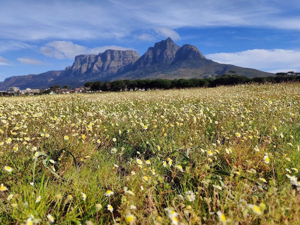 Rondebosch Common